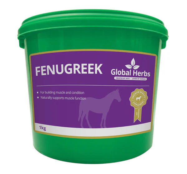 Global Herbs Fenugreek Seeds - 1KG