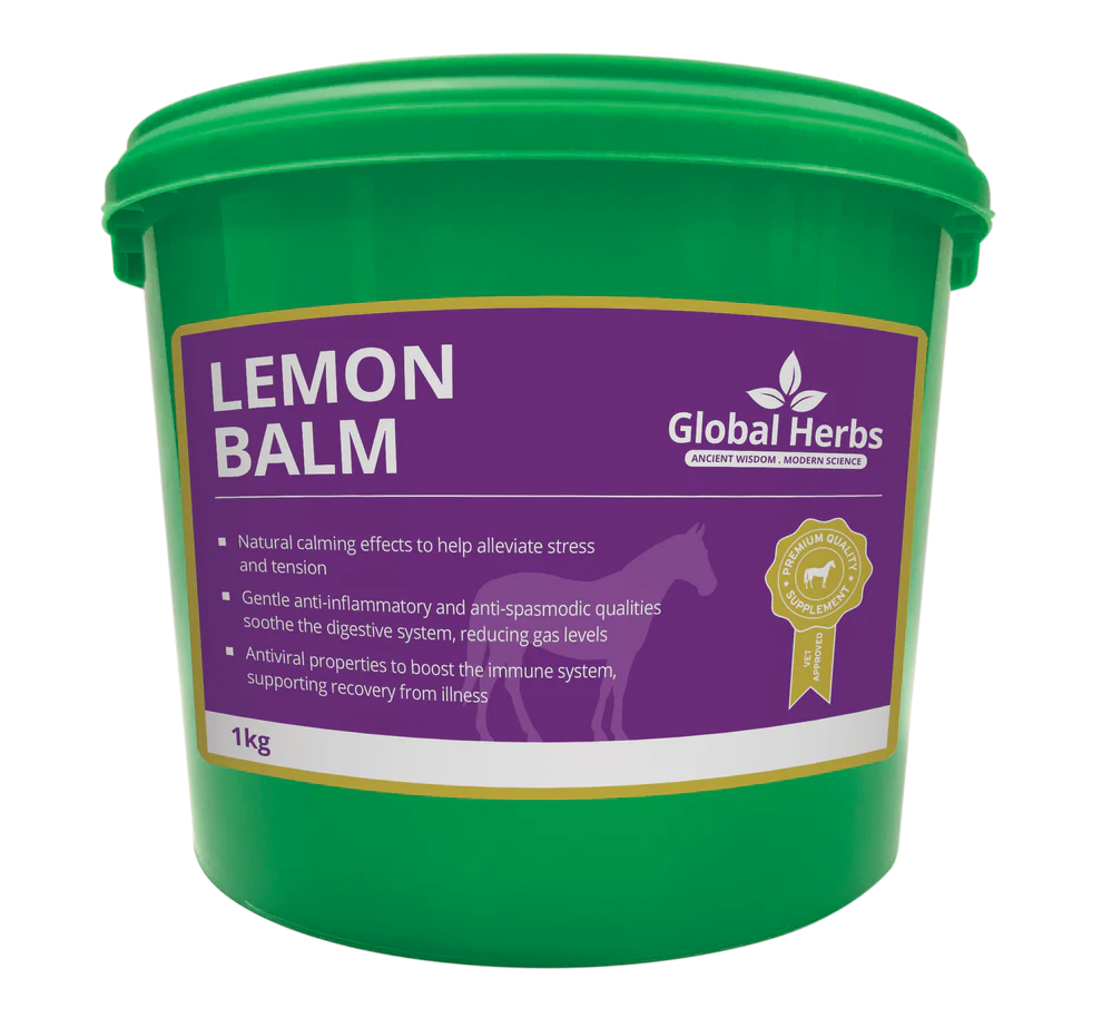 Lemon Balm - Global Herbs