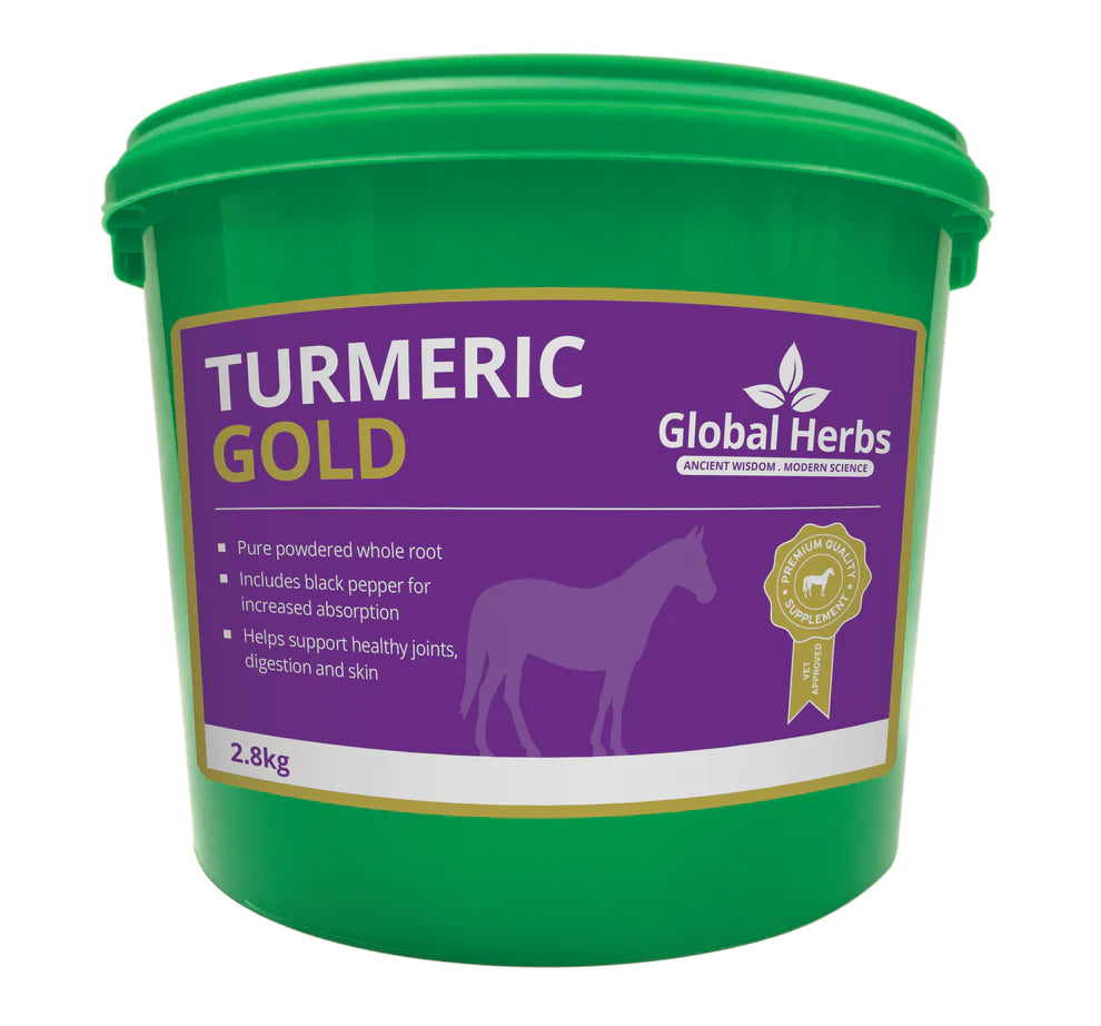 Global Herbs Turmeric Gold
