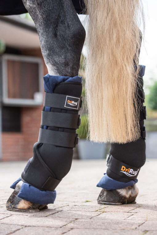 DriRug Horse Leg Wraps