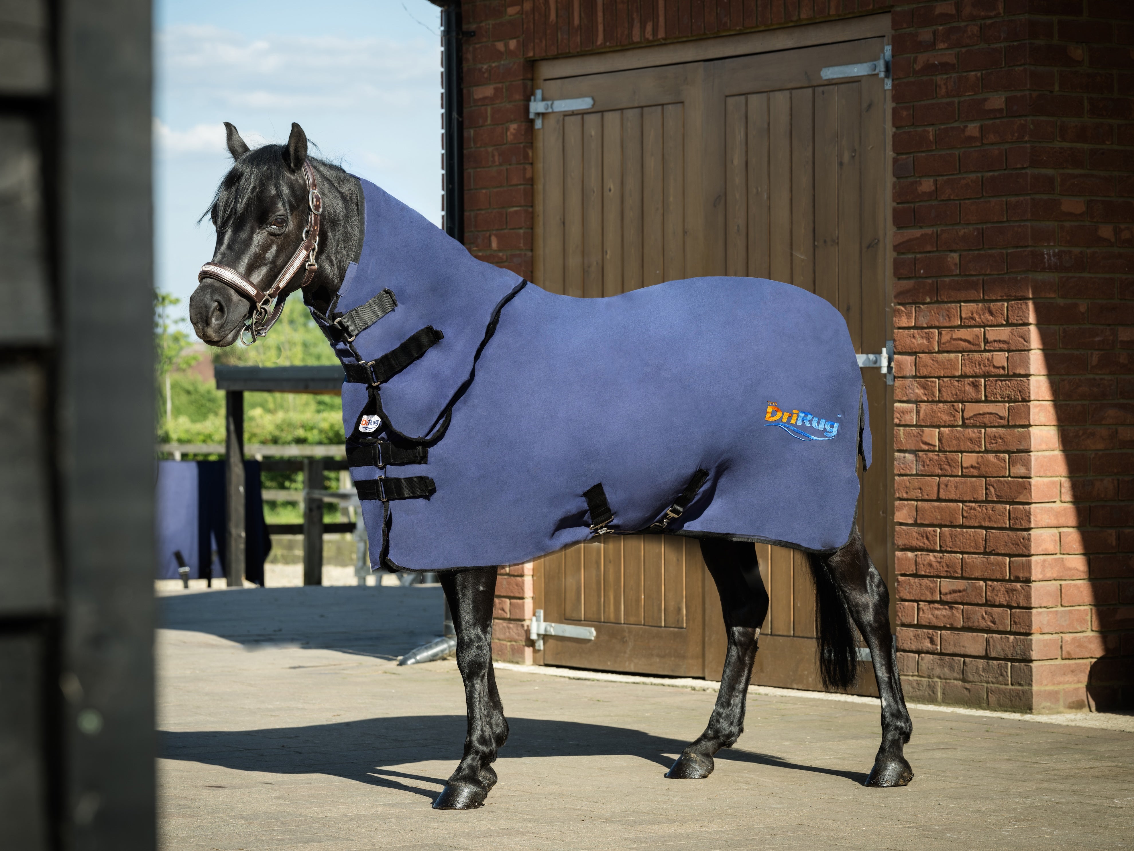 DriRug X Small fits 4’9 to 5ft