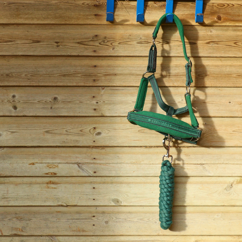 Stellar Lead Rope from Equilibrium Products