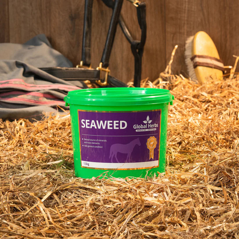 Global Herbs Seaweed in straw