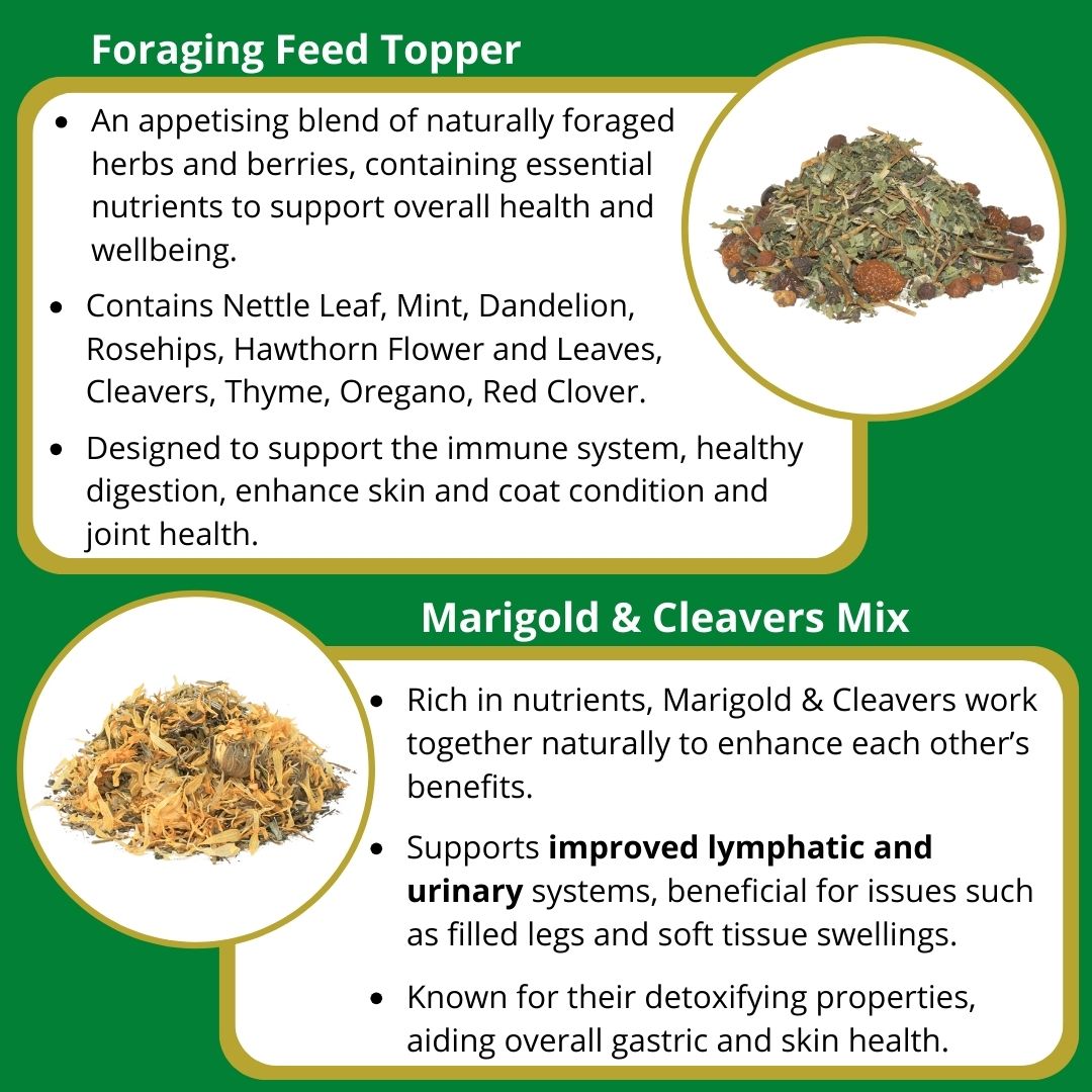 Foraging Capsule Foraging range from Global Herbs in stock now – AllCapall