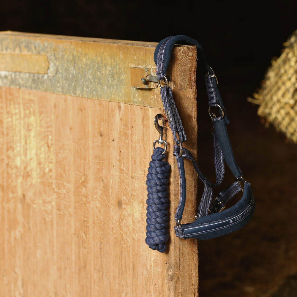 Stellar Lead Rope from Equilibrium Products