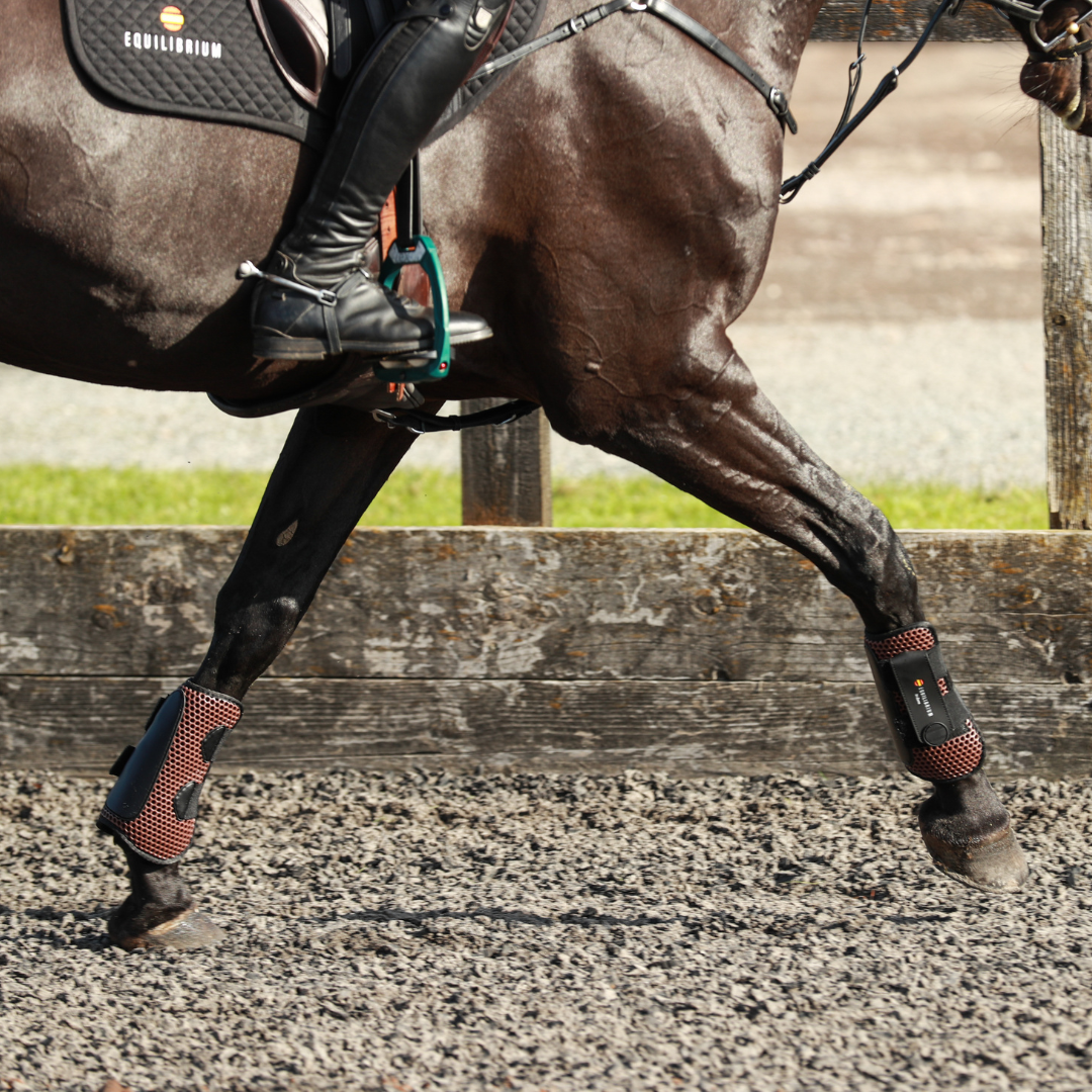 Tri Zone Open Fronted Tendon Boot