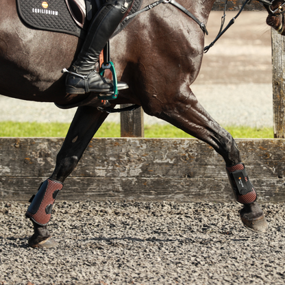 Tri Zone Open Fronted Tendon Boot