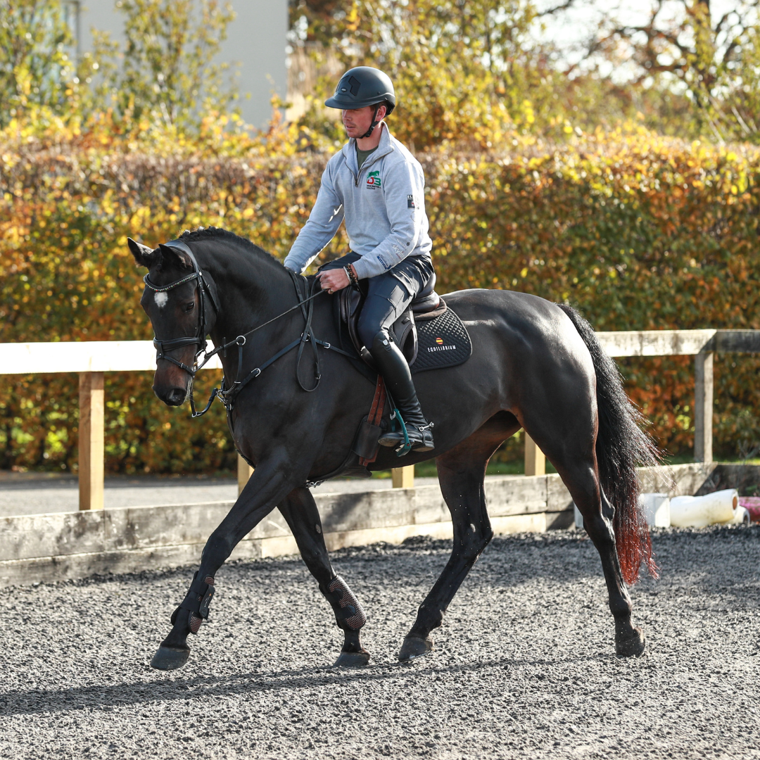 Tri Zone Open Fronted Tendon Boot