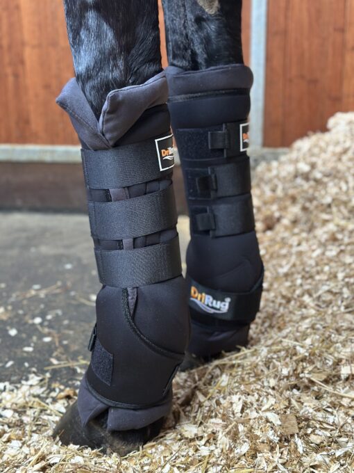 DriRug Horse Leg Wraps