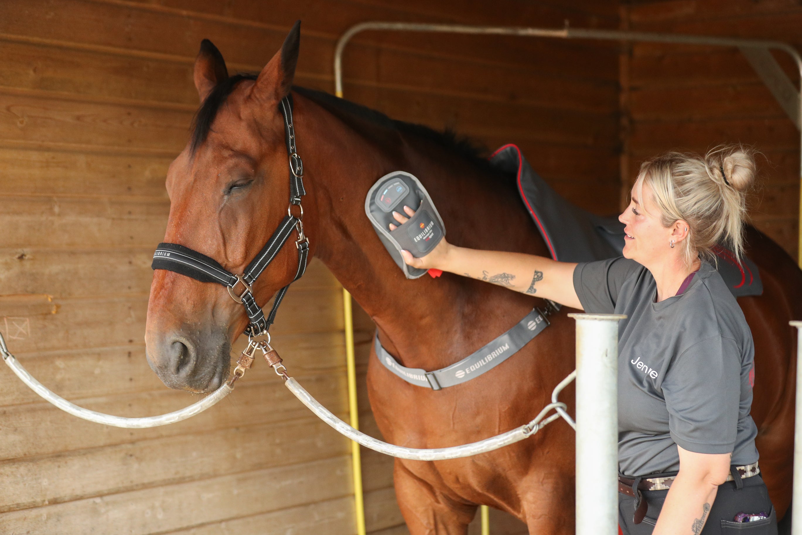 Equilibrium Massage Mitt Hotspot