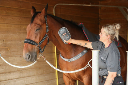 Equilibrium Massage Mitt Hotspot