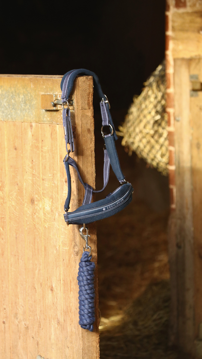 Stellar Lead Rope from Equilibrium Products