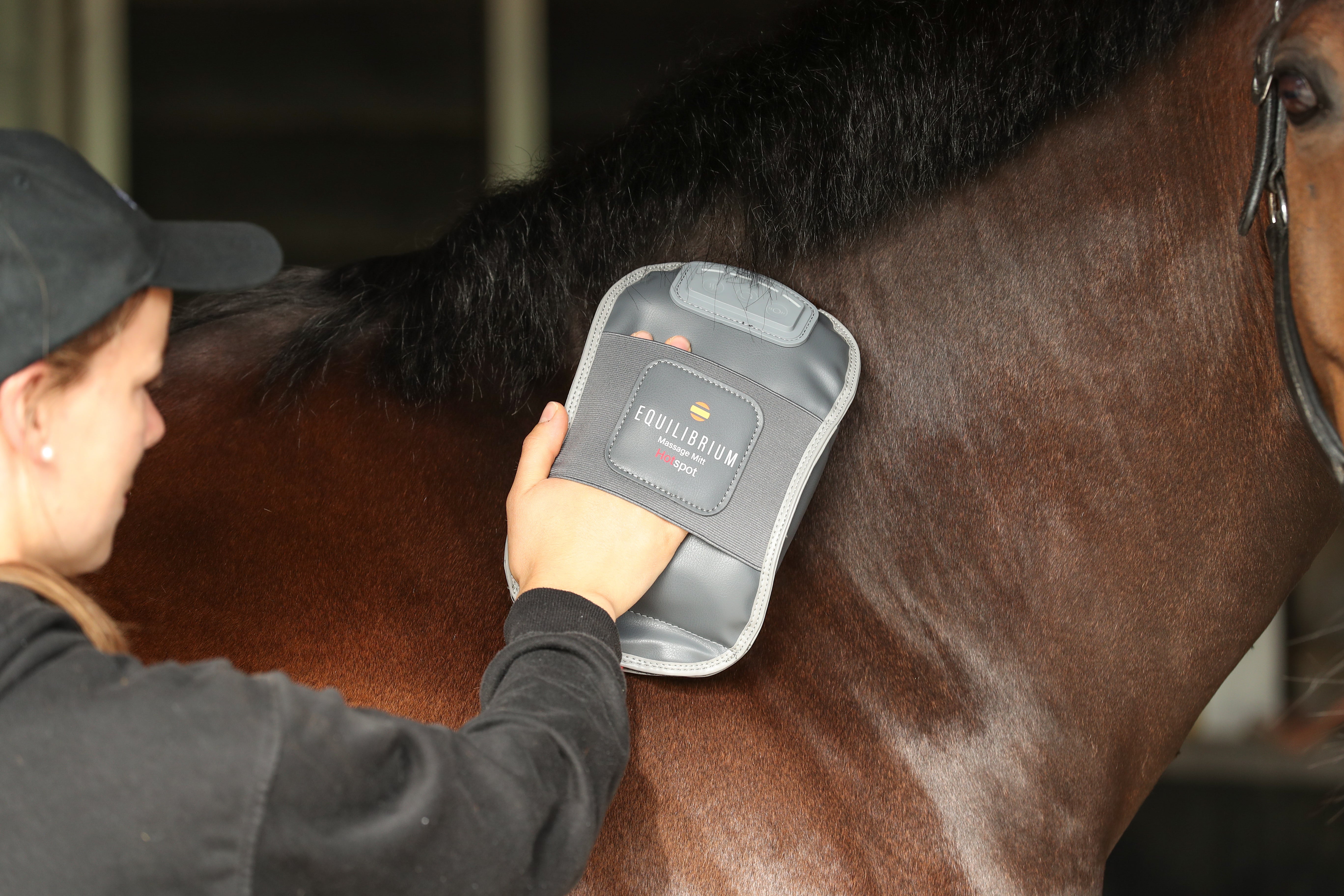 Equilibrium Massage Mitt Hotspot