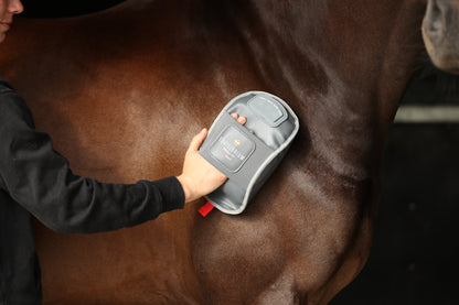 Equilibrium Massage Mitt Hotspot
