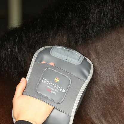 Equilibrium Massage Mitt Hotspot