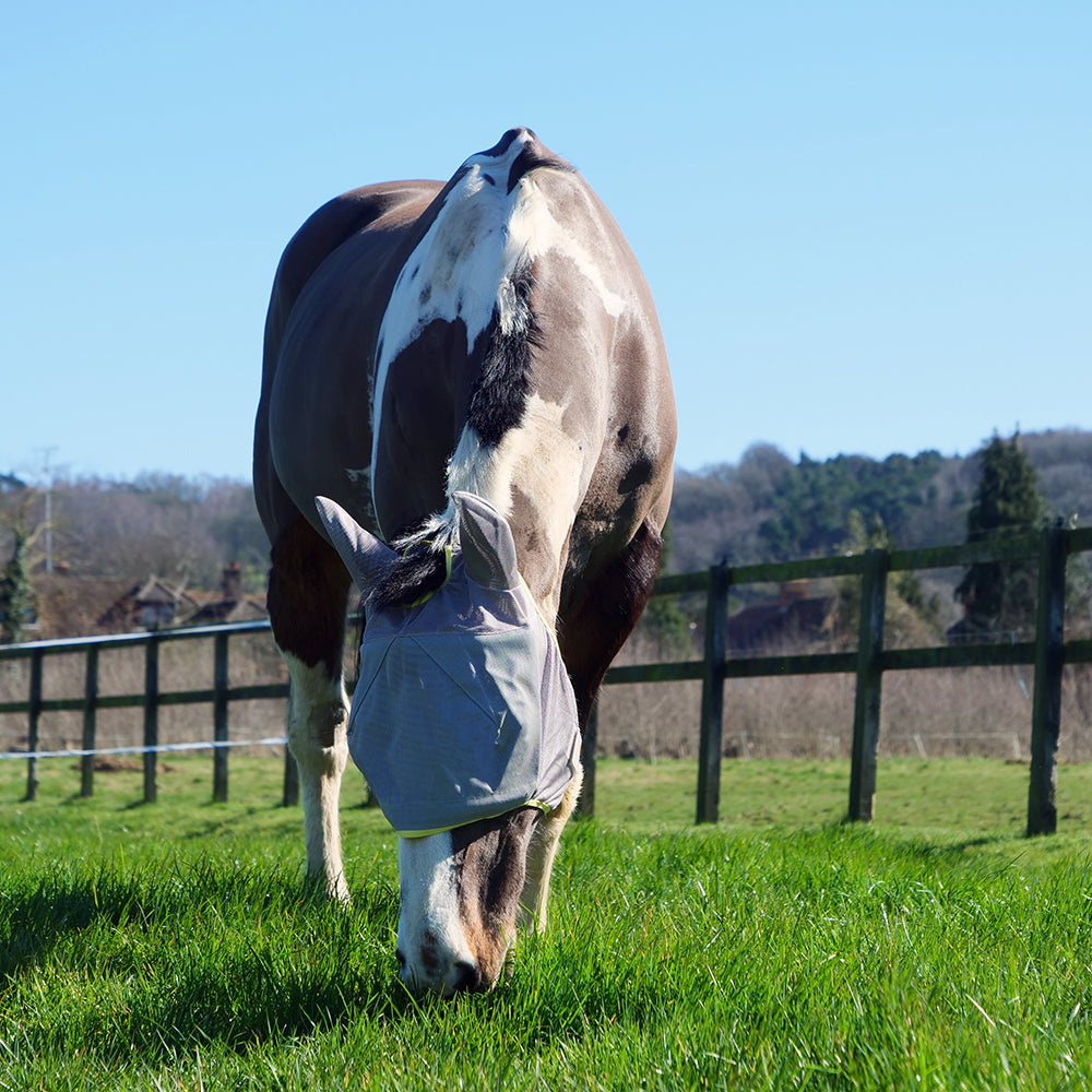 Field Relief Midi Fly Mask with Ears