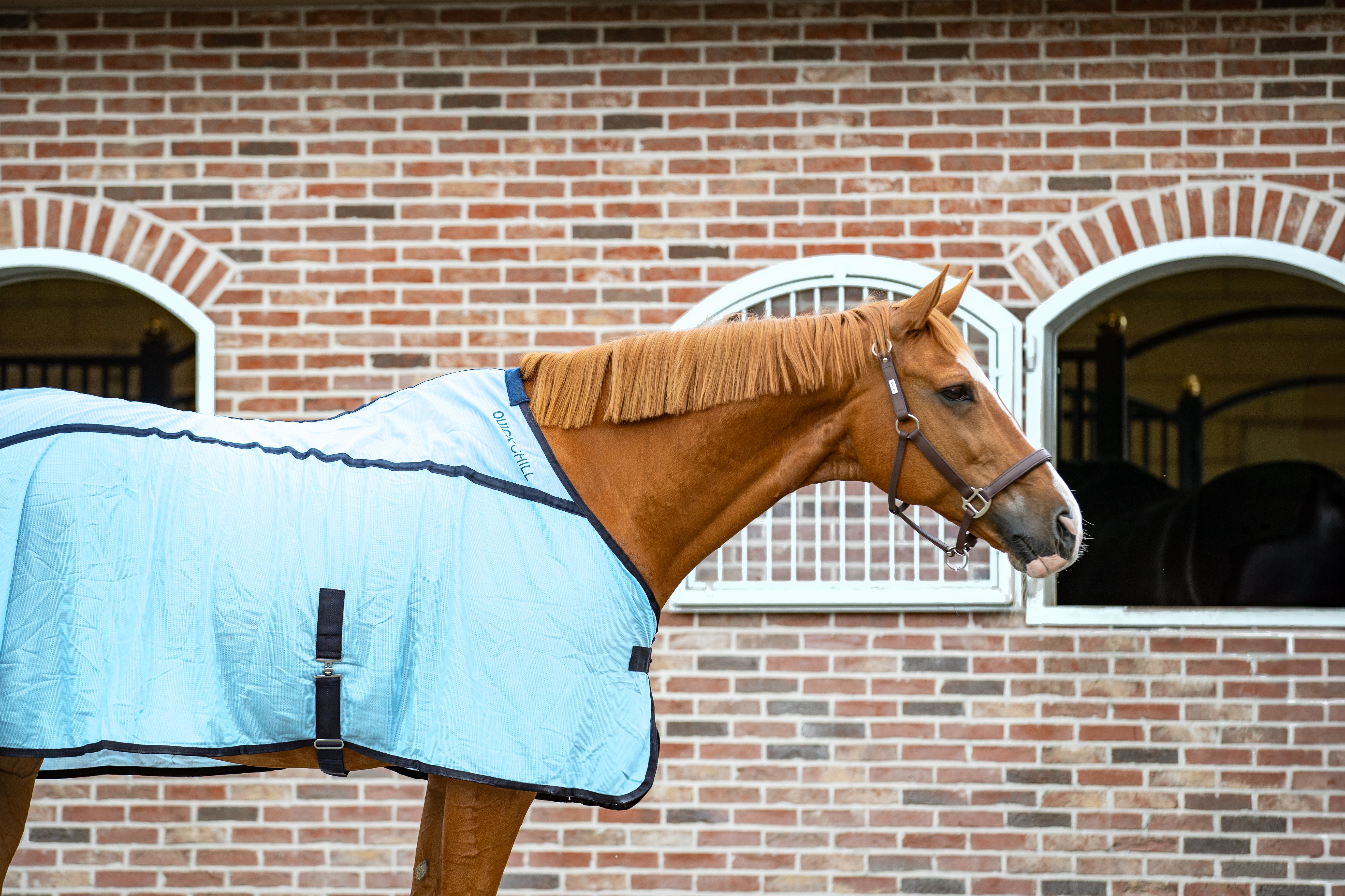 Quick Chill Cooling Rug