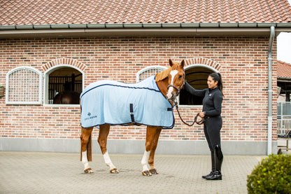Quick Chill Cooling Rug