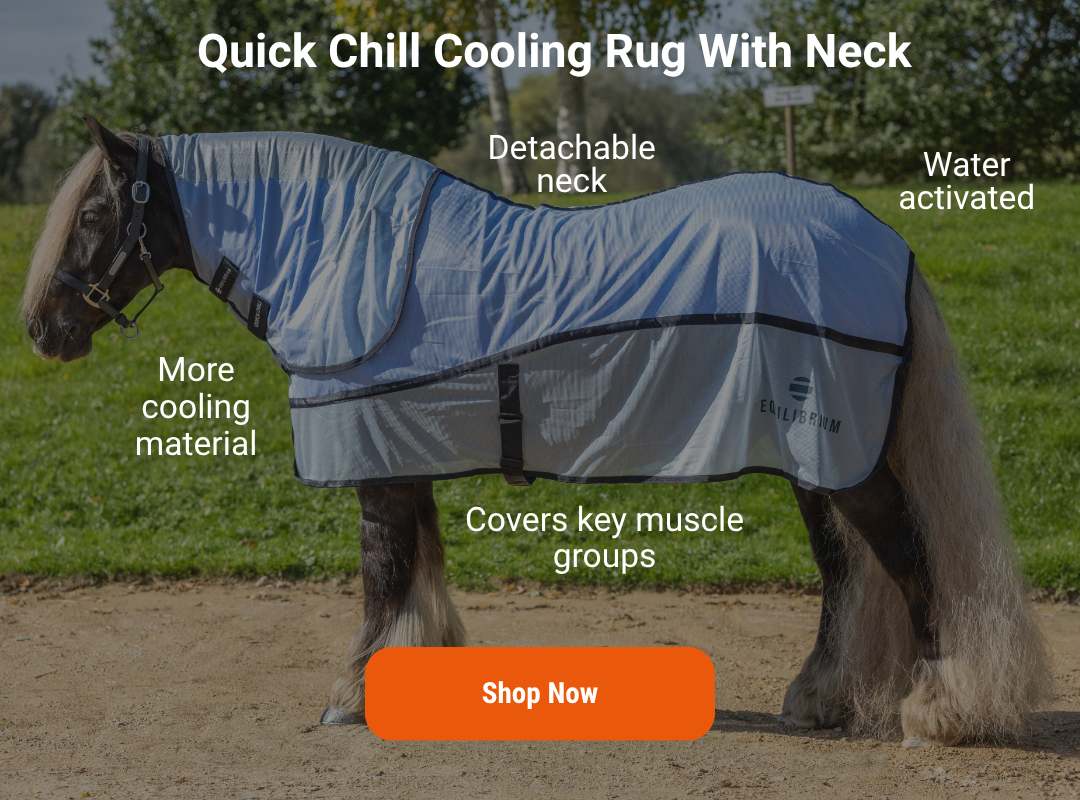 Quick Chill Cooling Rug