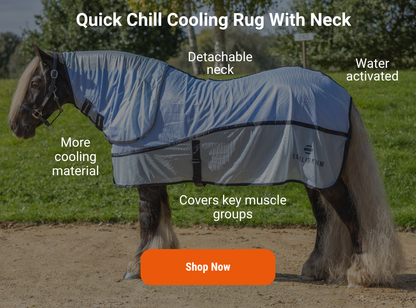 Quick Chill Cooling Rug