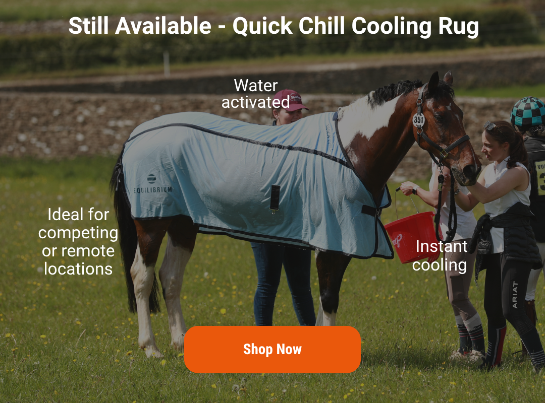 Quick Chill Cooling Rug