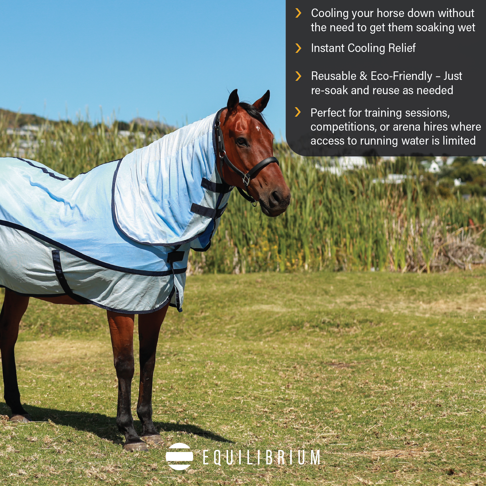 Quick Chill Cooling Rug