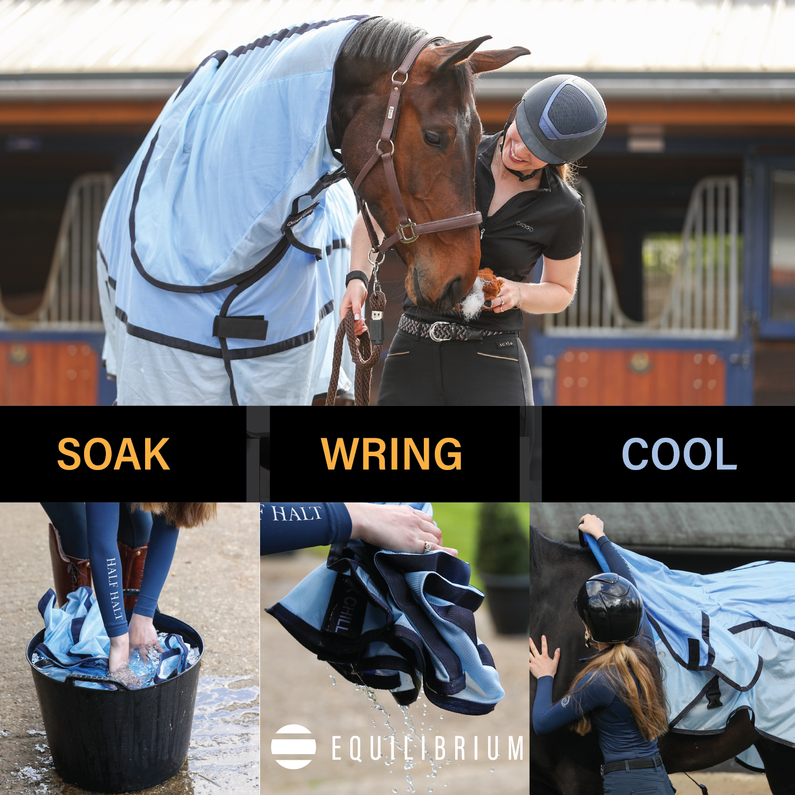 Quick Chill Cooling Rug