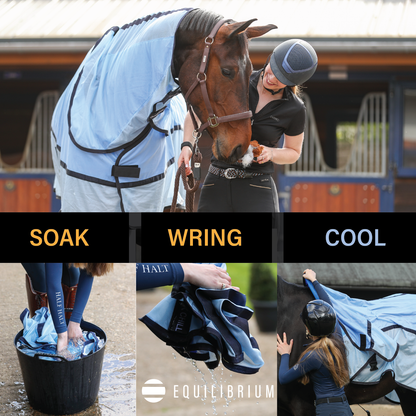 Quick Chill Cooling Rug