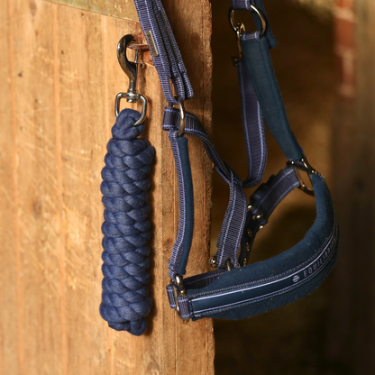 Stellar Lead Rope from Equilibrium Products