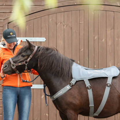Pony Massage Pad