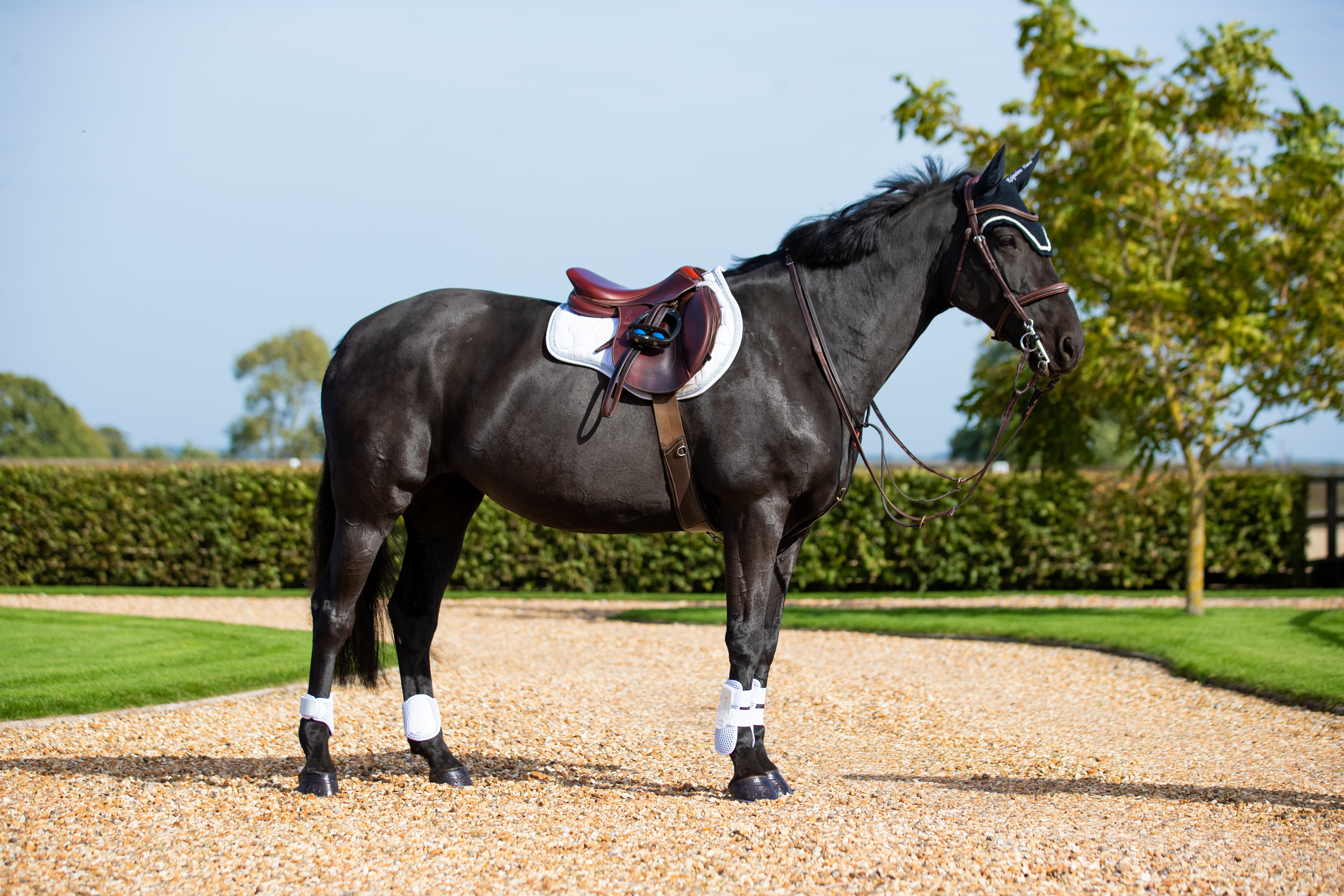Tri Zone Open Fronted Tendon Boot