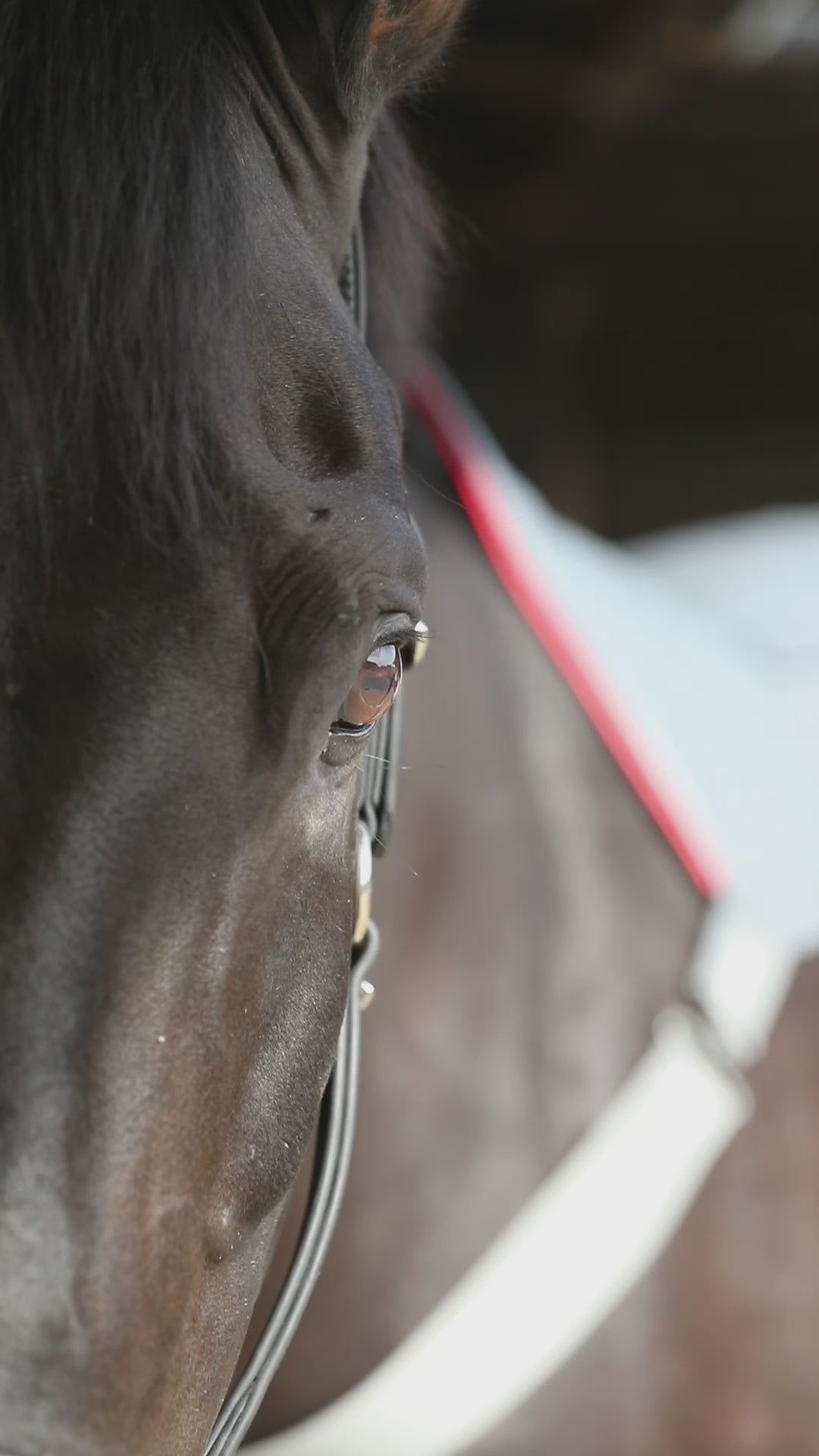 Heatsense Massage Pad